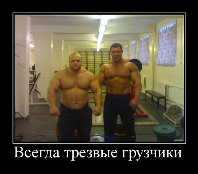 ������ ���������